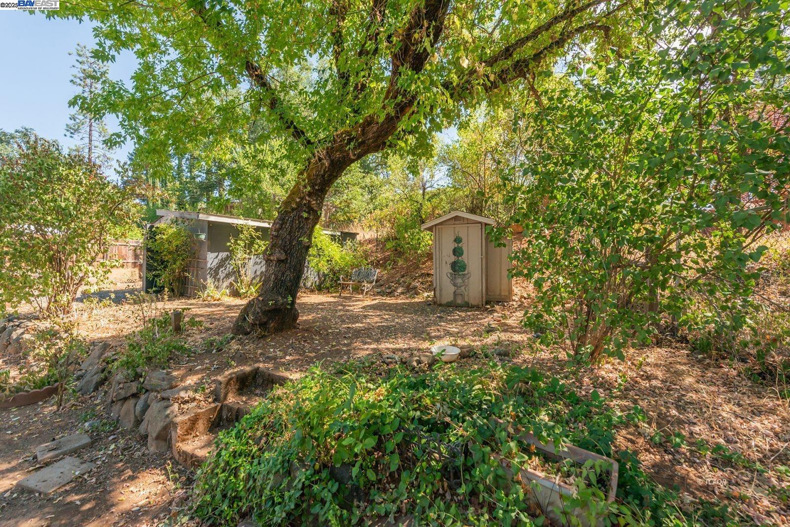 395 Masonic Lane Weaverville, CA 96093 - Photo 30 of 40 a view of a yard with plants and trees