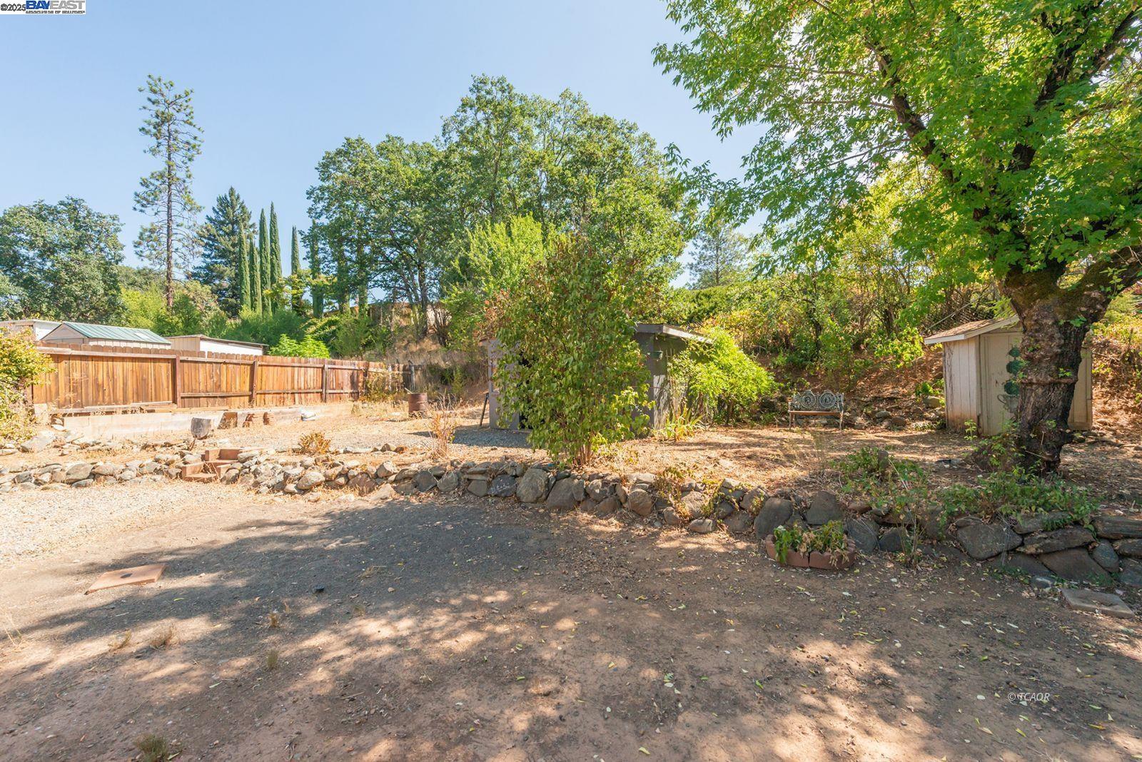 395 Masonic Lane Weaverville, CA 96093 - Photo 36 of 40 a view of a yard with plants and trees