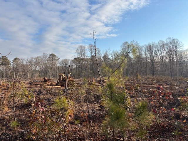 - Chipley Road Greenwood, SC 29646 - Photo 31 of 34