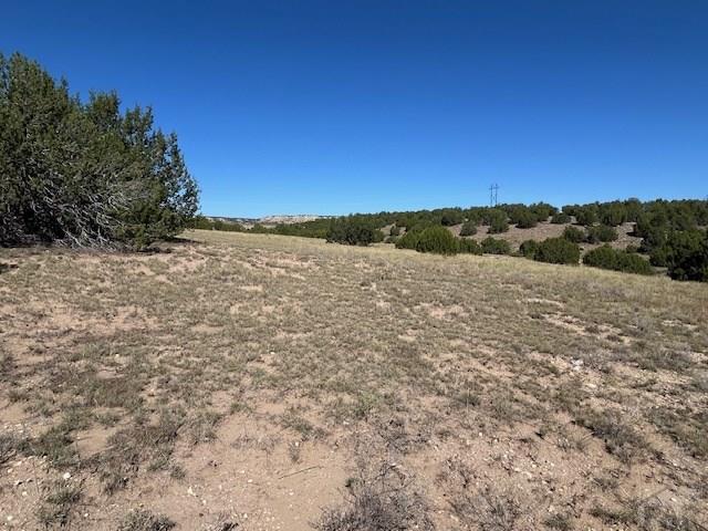 Lot 140 Caboose Lane Rye, CO 81069 - Photo 33 of 46 Gallery Image 33