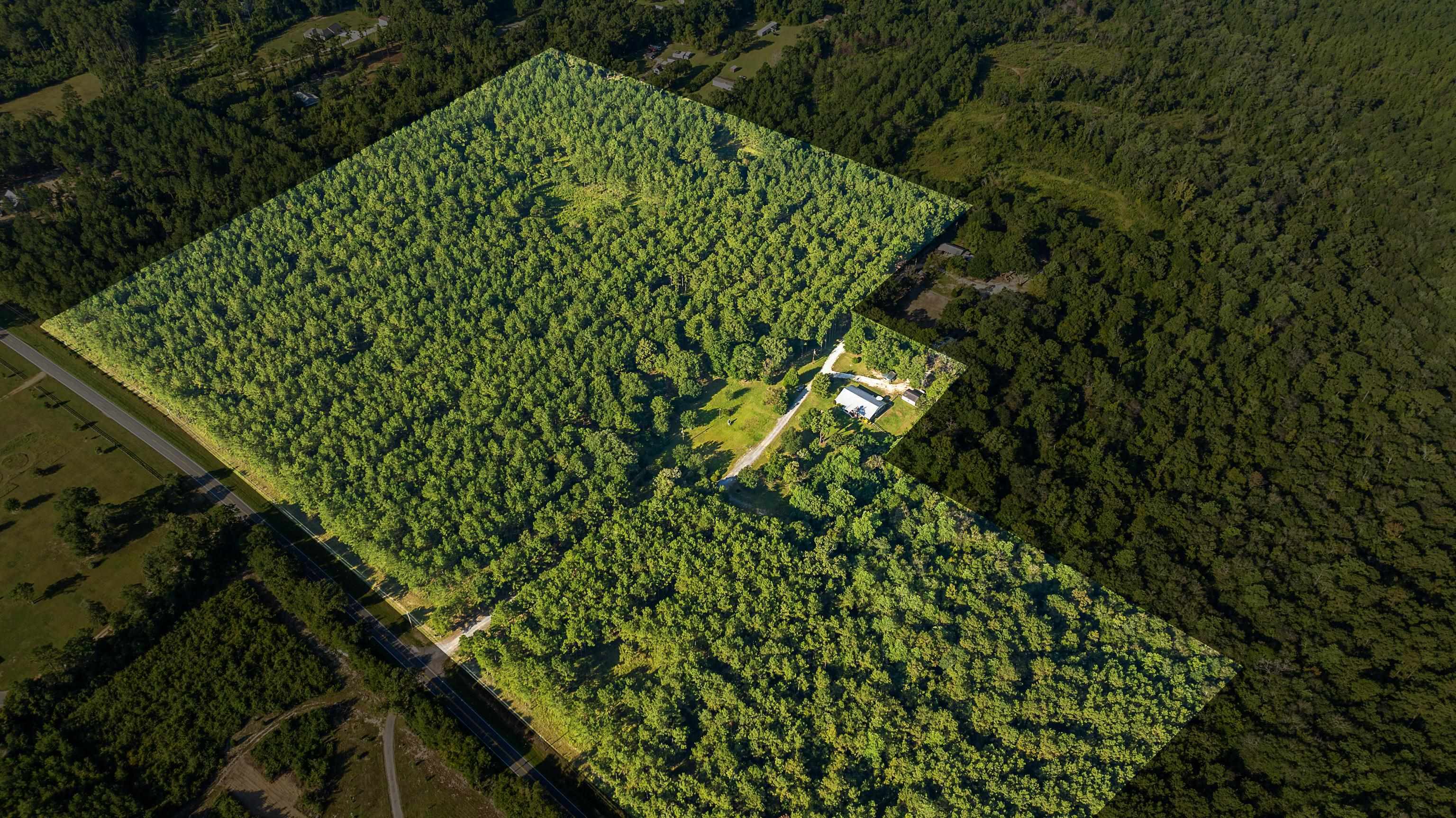 9350 Tompkins Road Stockton, AL 36579 - Photo 5 of 36 View of property location with a heavily wooded area