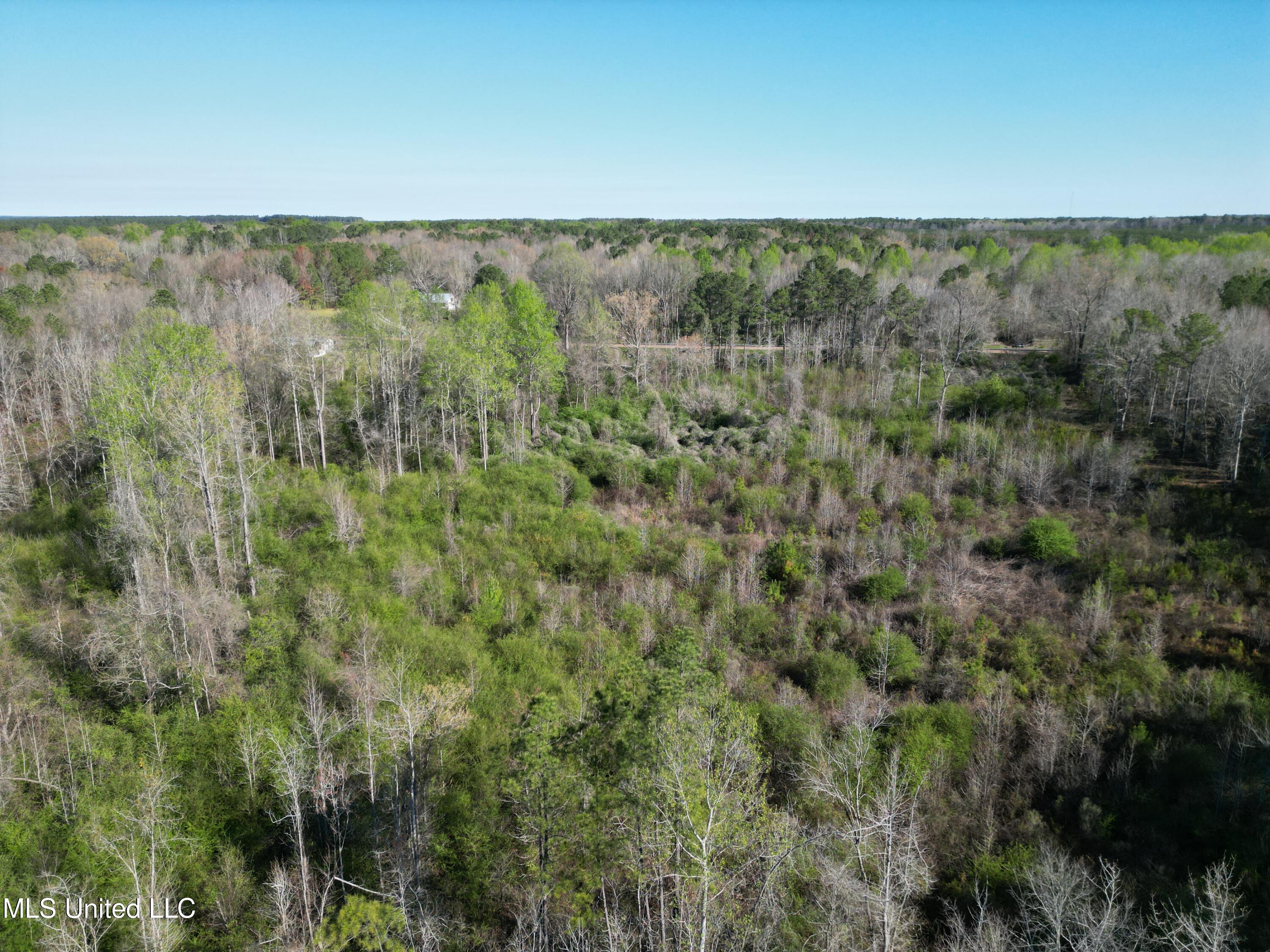 None None 16th Highway Carthage, MS 39051 - Photo 2 of 5 DJI_0144