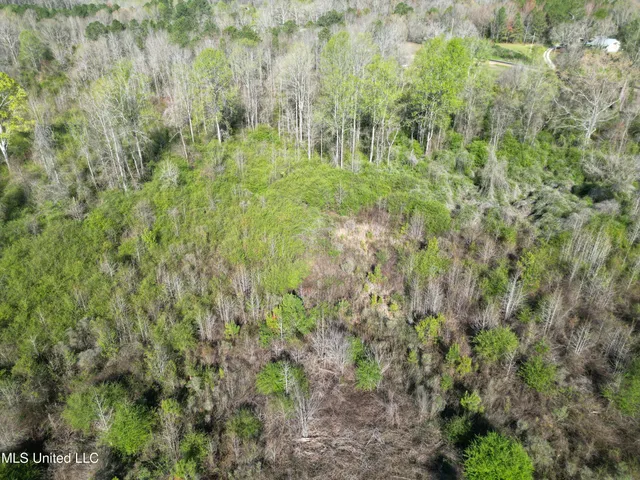 $48,000 | None None 16th Highway, Carthage, MS 39051