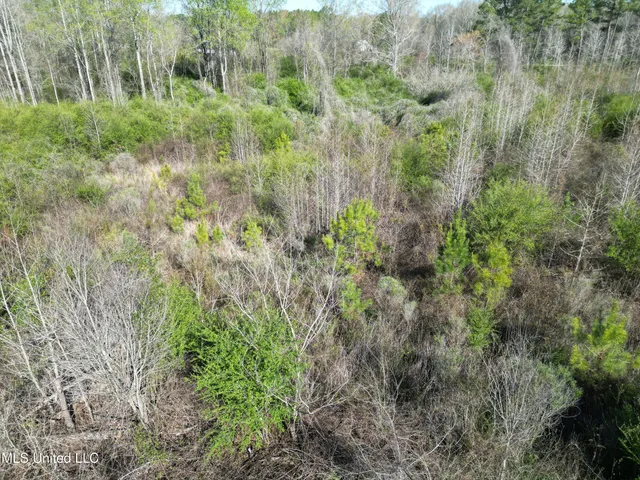 $48,000 | None None 16th Highway, Carthage, MS 39051