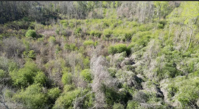 $48,000 | None None 16th Highway, Carthage, MS 39051