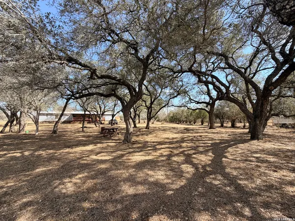 a view of a yard with a trees