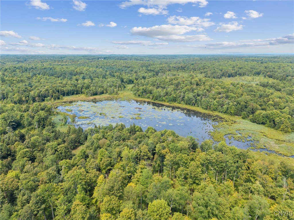 11 County Rte 11 West Monroe, NY 13167 - Photo 3 of 19