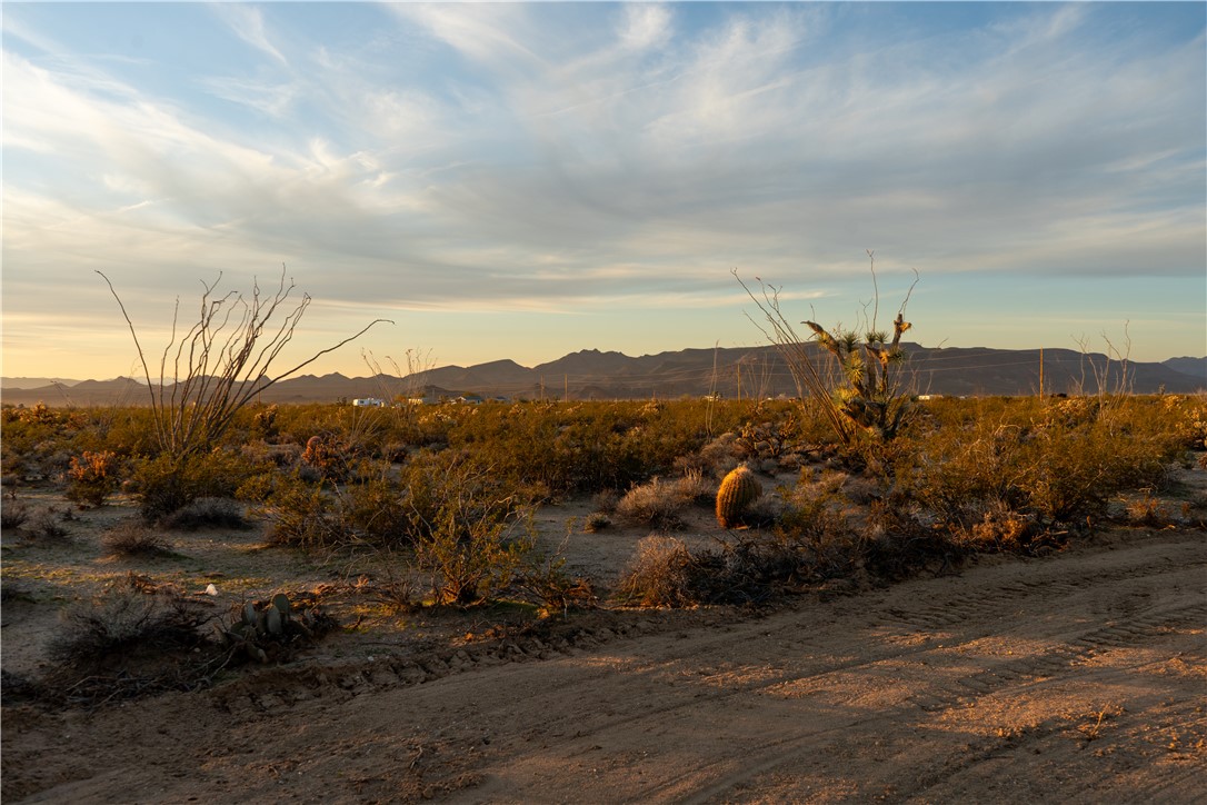 207-17-065 South Cameron Road Yucca, AZ 86438 - Photo 5 of 24