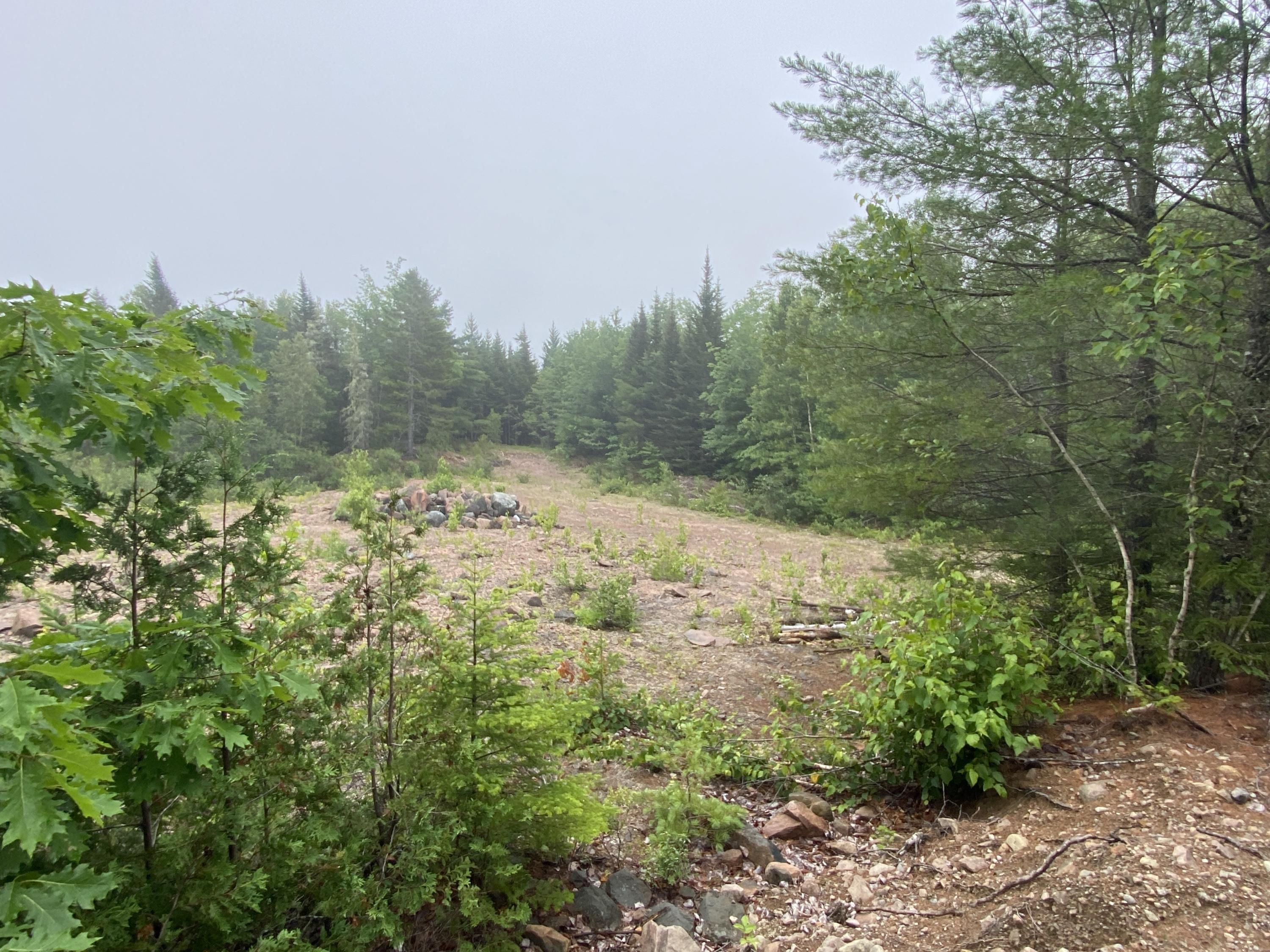 Lot 3 North Steam Mill Road Robbinston, ME 04671 - Photo 6 of 7 Photo Jul 15, 9 02 10 AM