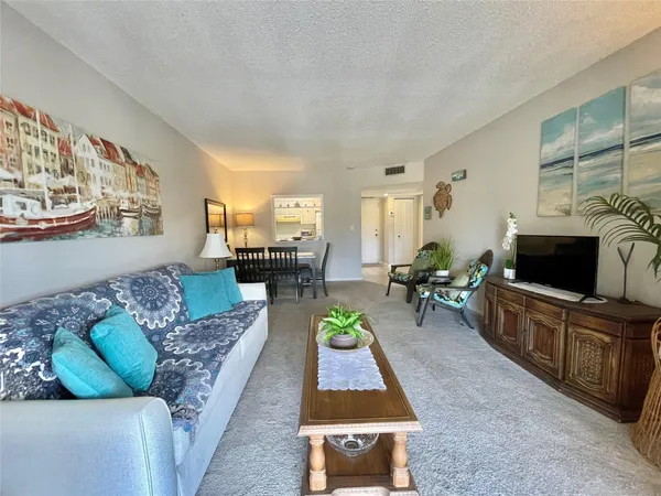 a living room with furniture a rug a window and a flat screen tv