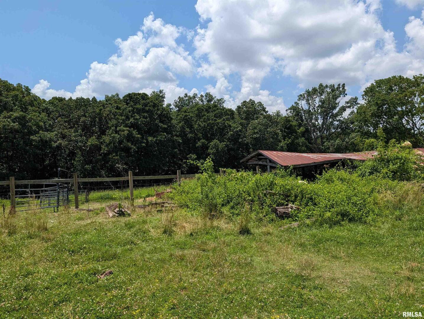 340 Dameron Lane Vienna, IL 62995 - Photo 12 of 46 a view of swimming pool with a yard