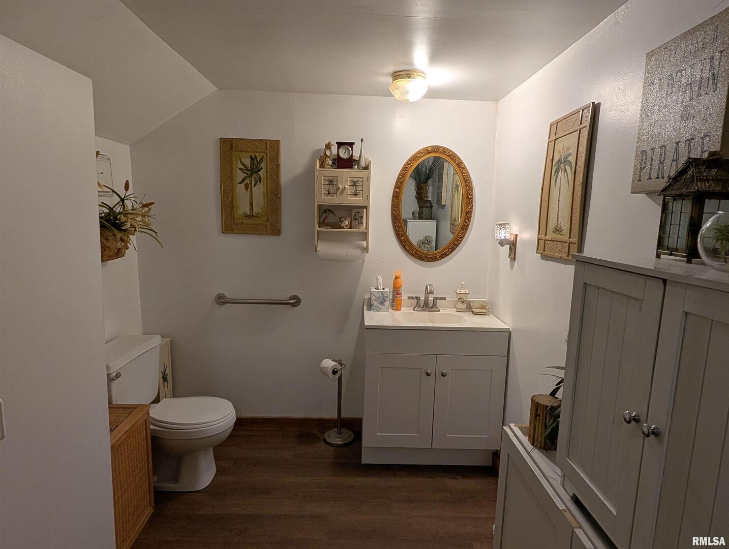 340 Dameron Lane Vienna, IL 62995 - Photo 30 of 46 a bathroom with a toilet a sink and a mirror