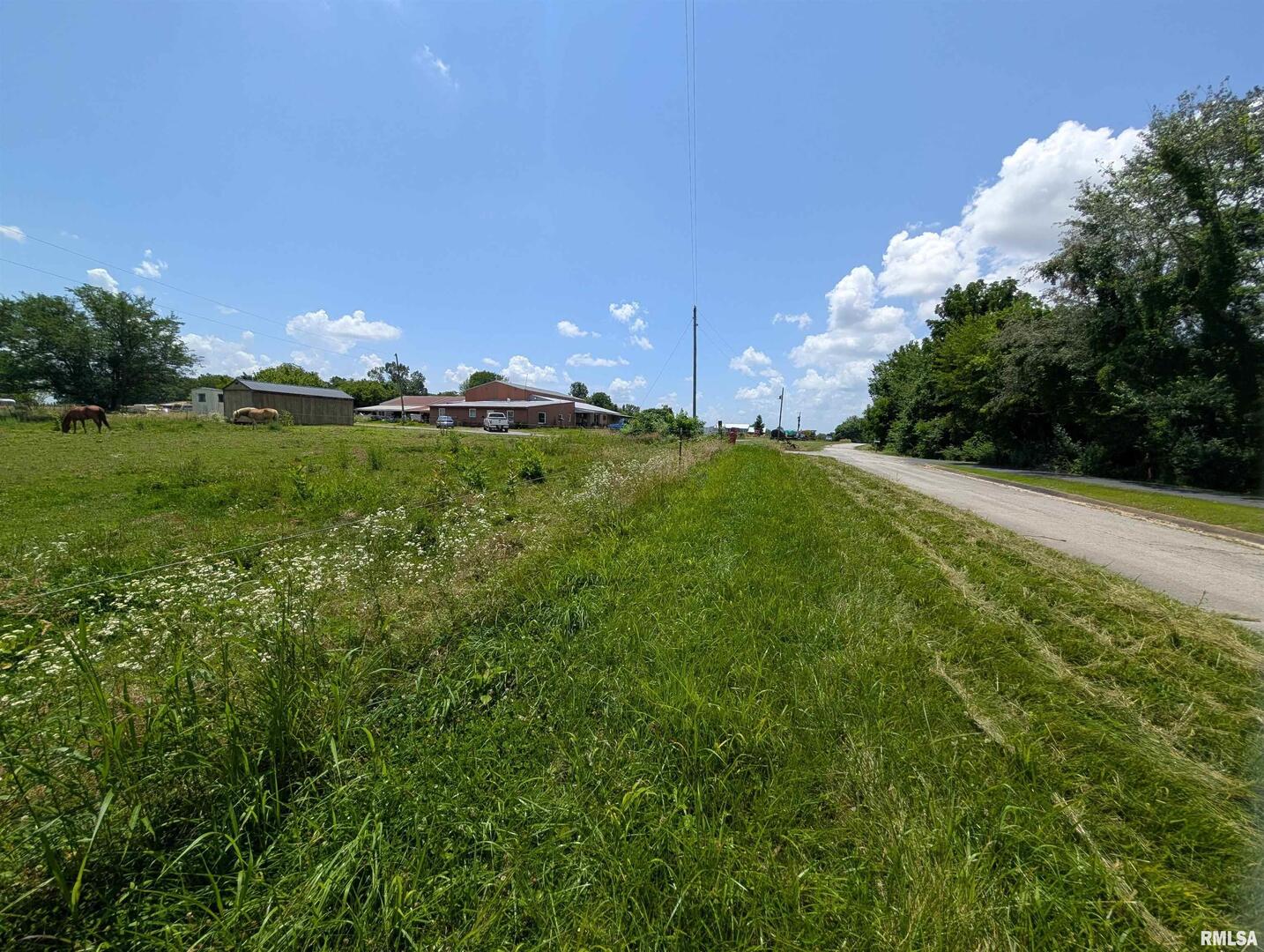 340 Dameron Lane Vienna, IL 62995 - Photo 46 of 46 a view of a lake in middle of green field