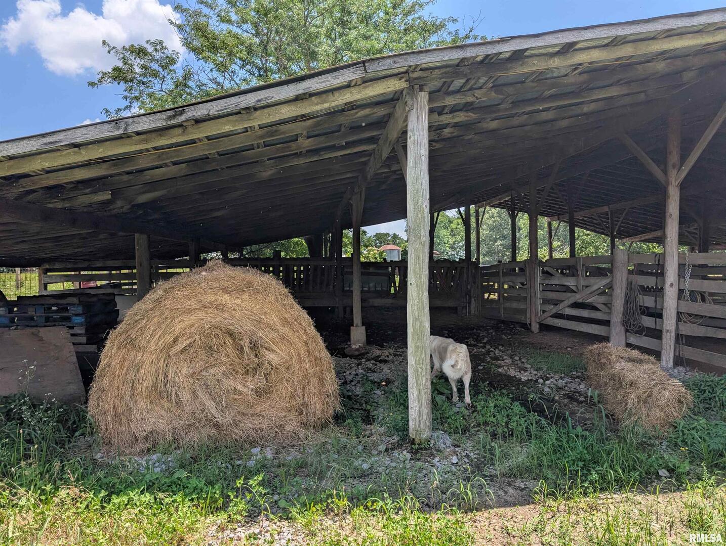 340 Dameron Lane Vienna, IL 62995 - Photo 8 of 46 a view of a backyard