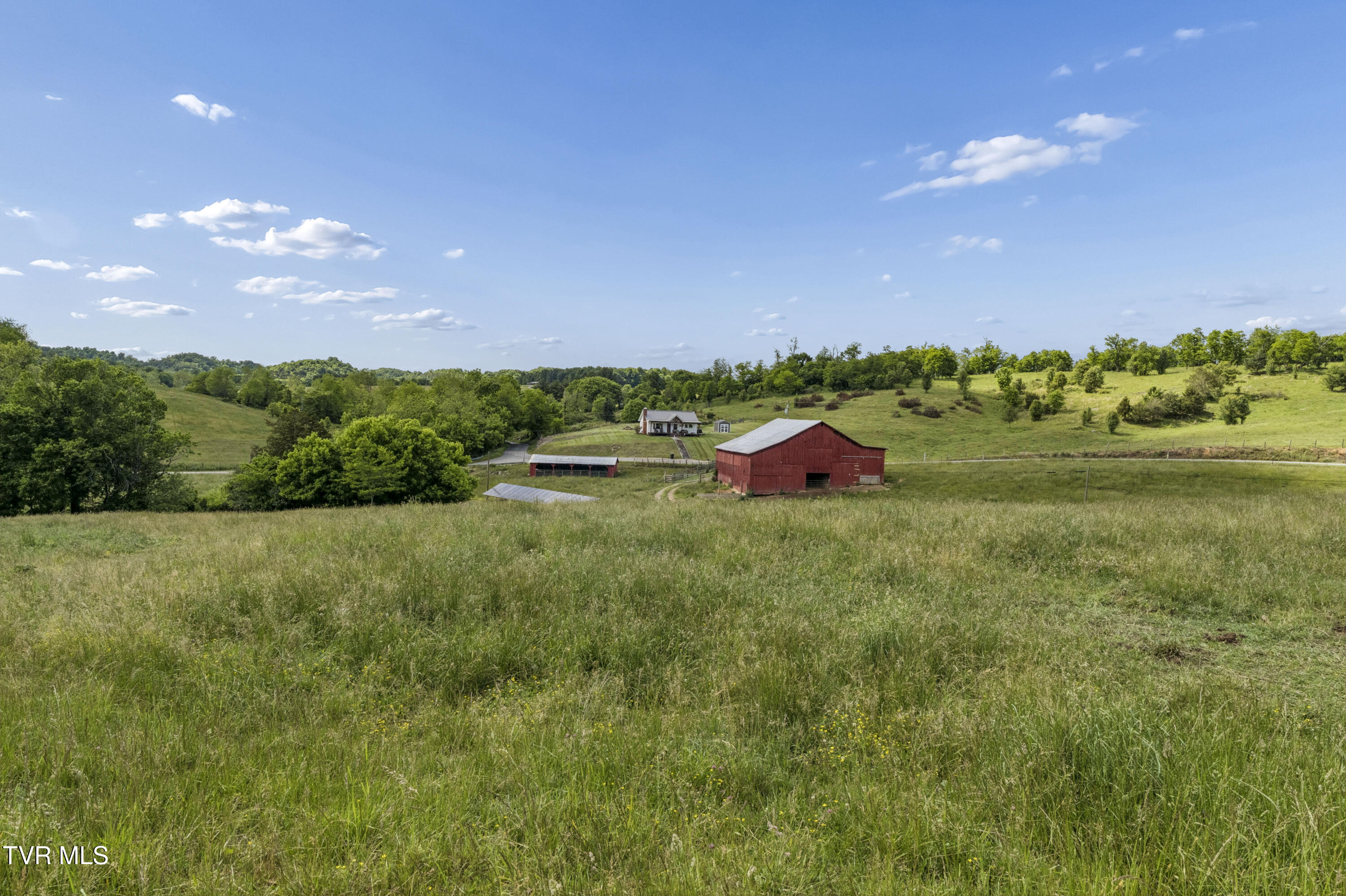 3200 Milburnton Road Limestone, TN 37681 - Photo 21 of 41 Mlburton-4434