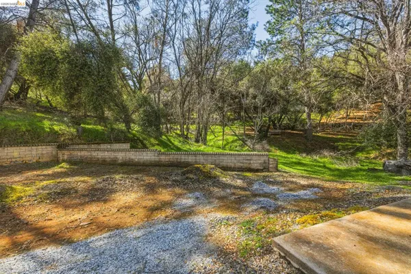 a view of a yard