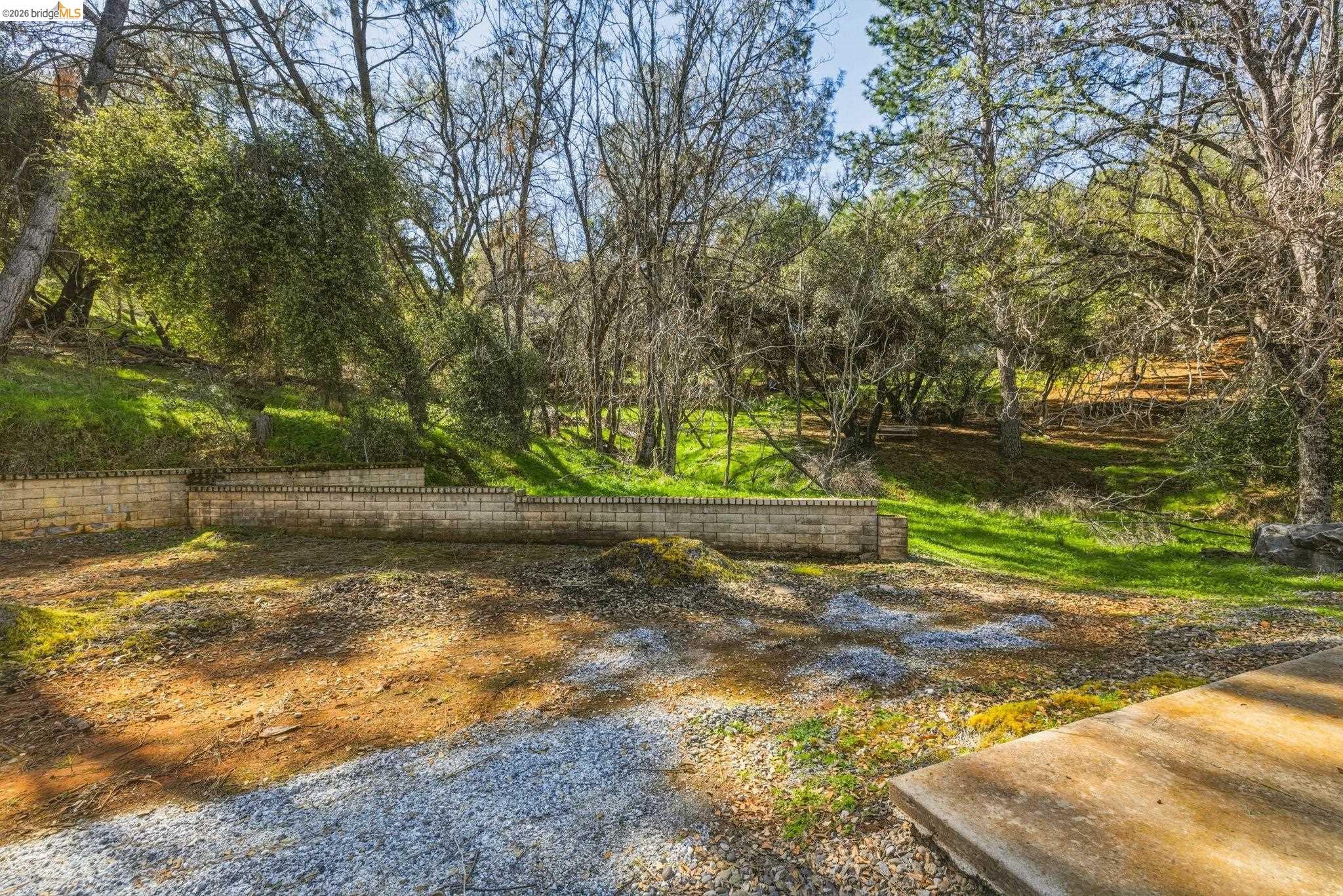 23608 Porcina Way Columbia, CA 95310 - Photo 11 of 51 a view of a yard