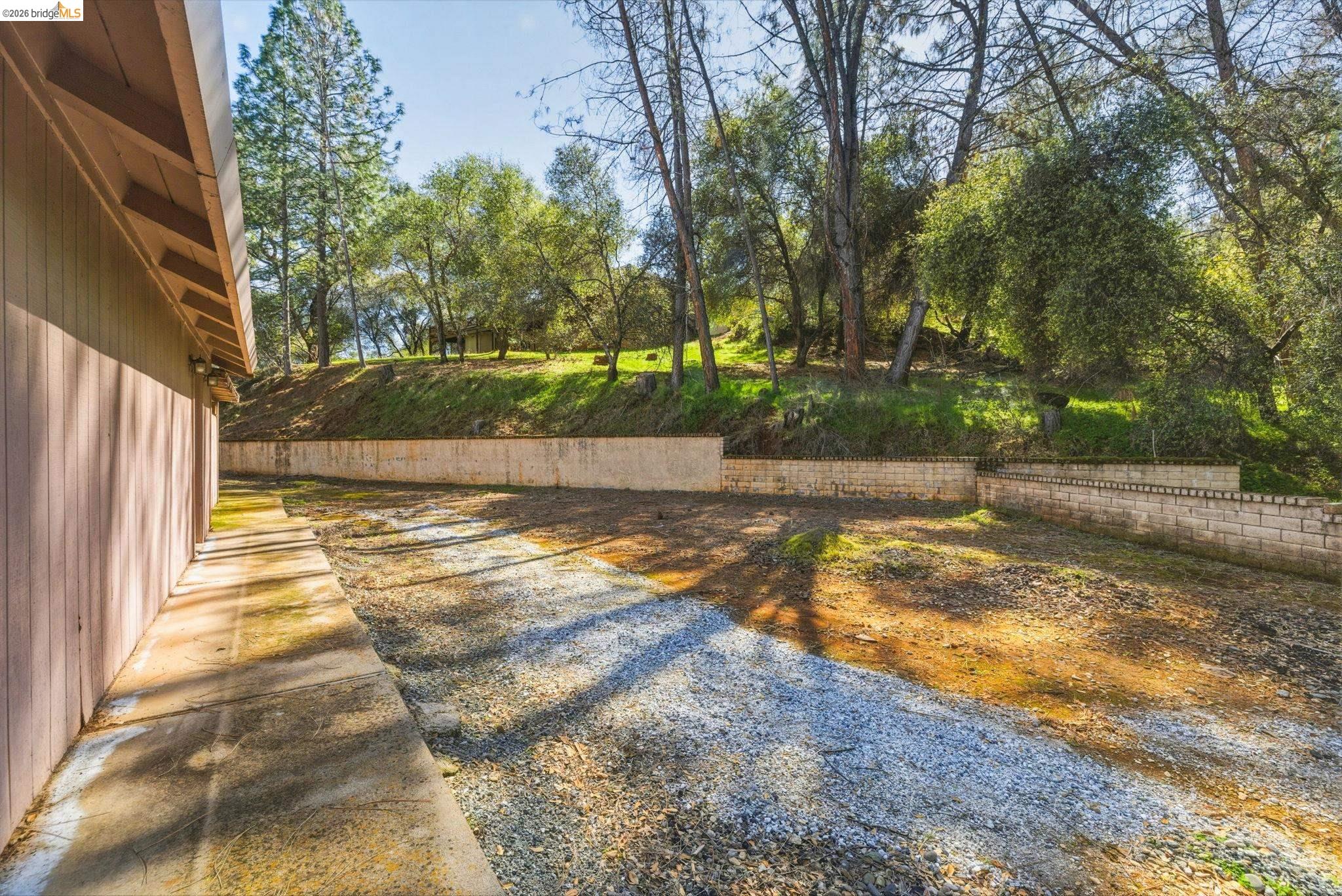 23608 Porcina Way Columbia, CA 95310 - Photo 50 of 51 a view of a yard with plants and large trees
