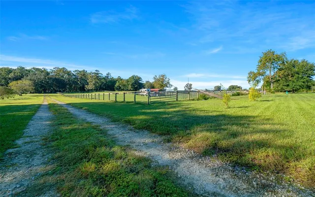 a view of a street with a house and large trees