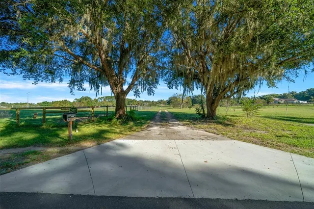 a view of a garden with an outdoor space