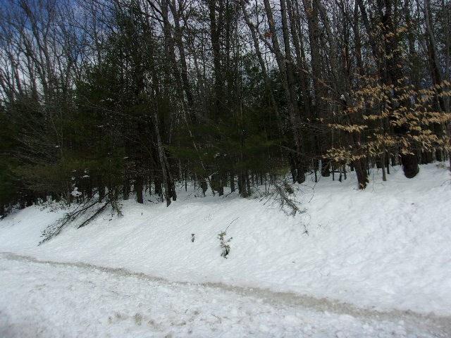 Tbd Madison Road Norridgewock, ME 04957 - Photo 3 of 3 Photo