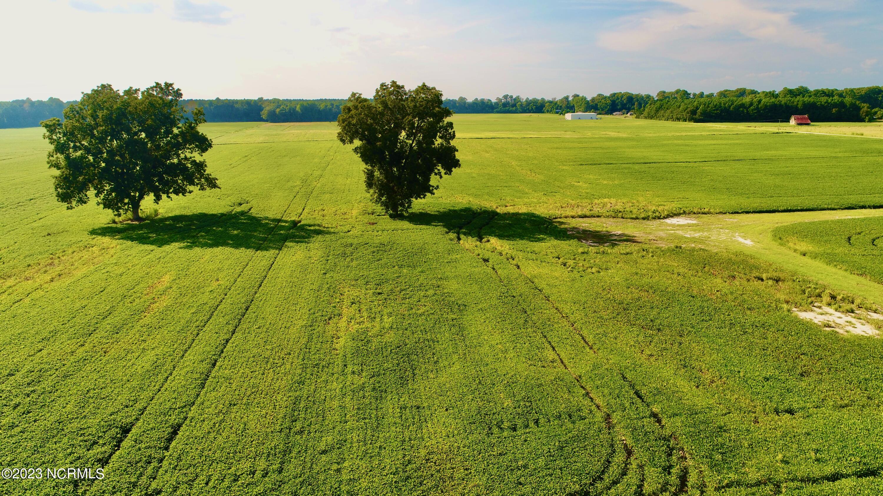 2334 West Millpond Road Roper, NC 27970 - Photo 42 of 52 DJI_0732