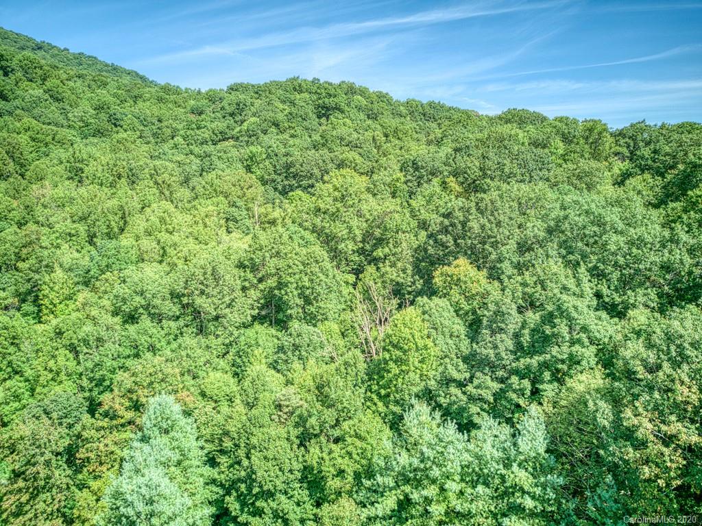 0 Orion Davis Road, Unit TRACT 1 Waynesville, NC 28786 - Photo 3 of 17 Gallery Image 3