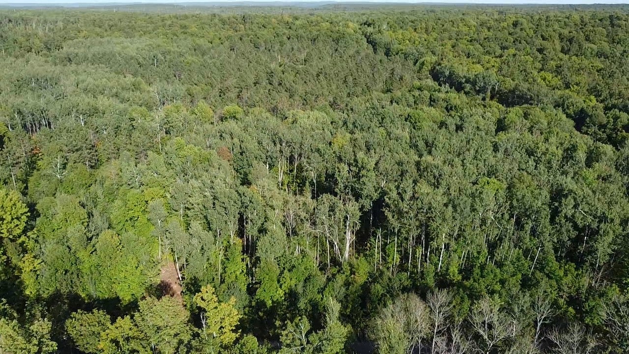 11-acres Tower Road Crandon, WI 54520 - Photo 6 of 15 Gallery Image 6