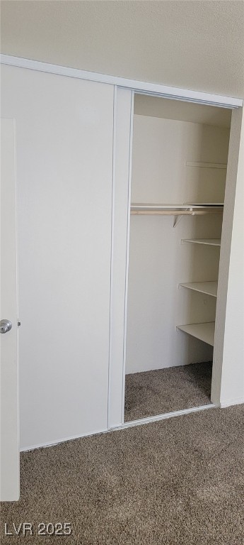 5196 Golden Lane, Unit C Las Vegas, NV 89119 - Photo 25 of 29 View of closet