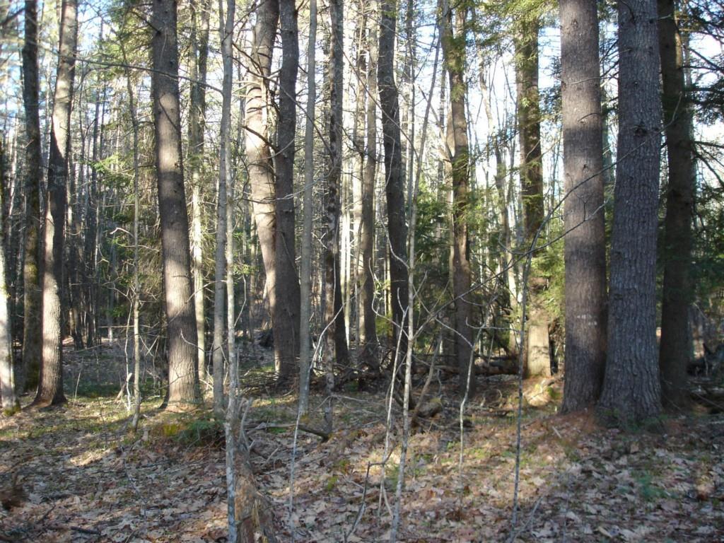 0 Steele Road Biddeford, ME 04005 - Photo 1 of 11 Photo