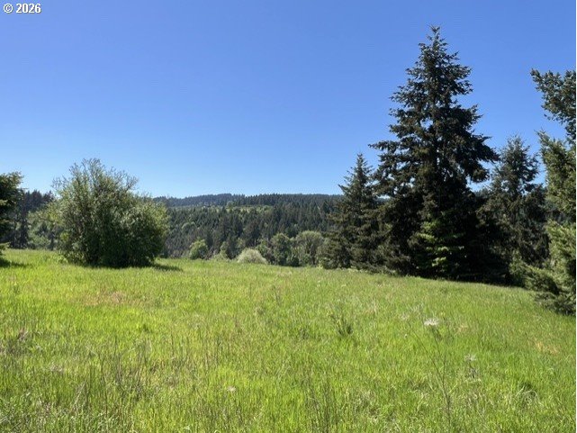 32784 Southwest Laurelview Road Hillsboro, OR 97123 - Photo 7 of 43