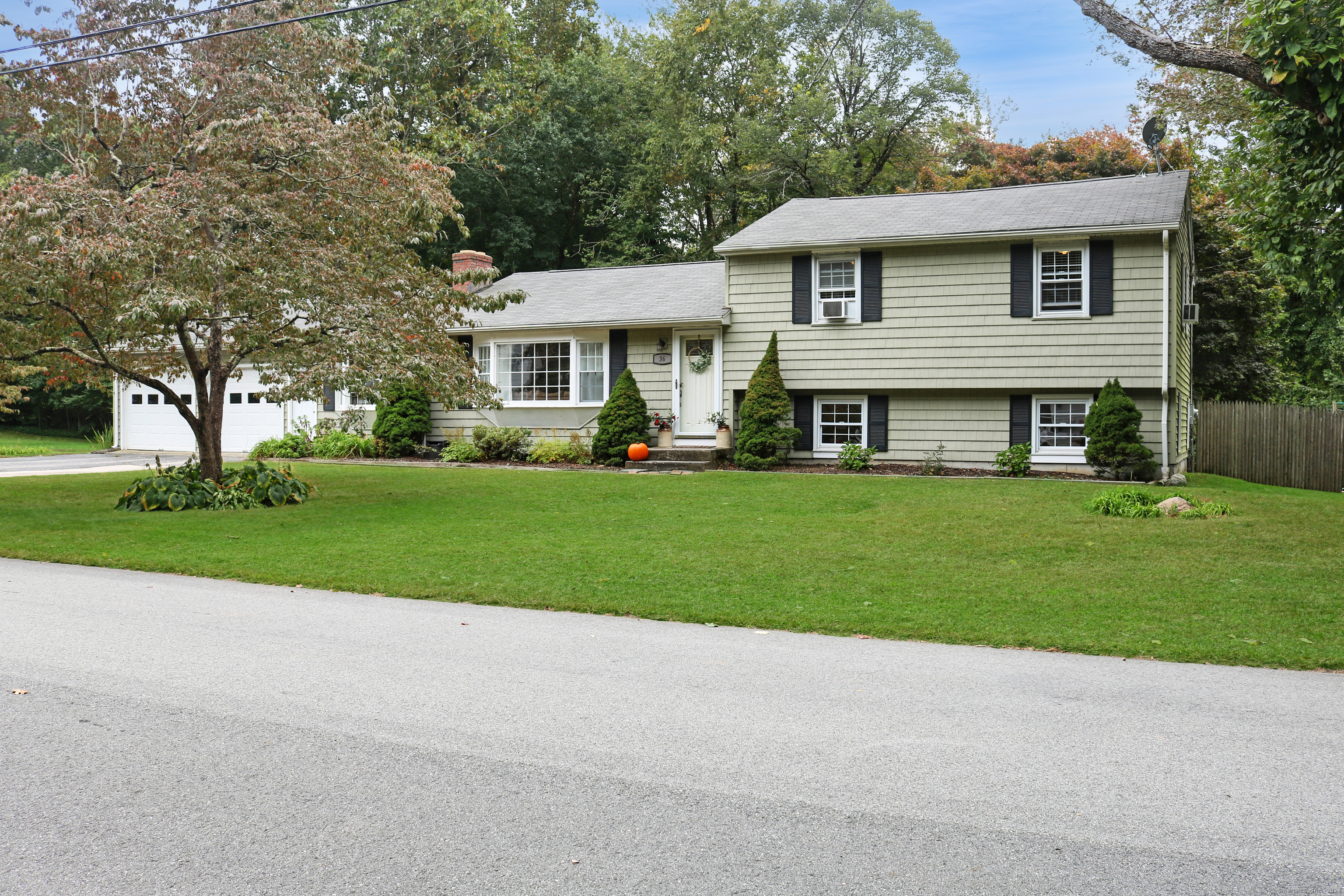 a front view of house with yard and green space