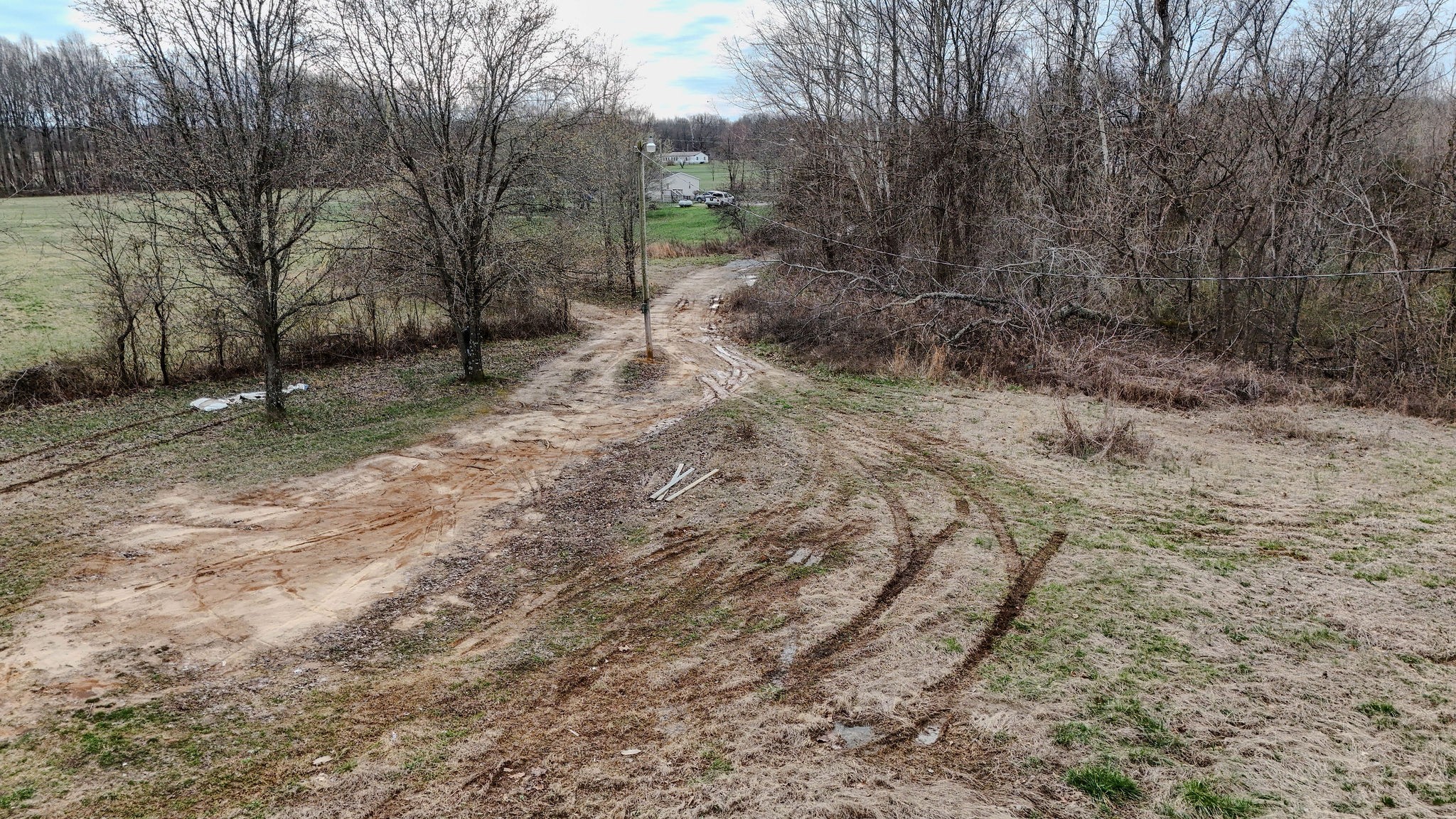 2613 Chambliss Road Pleasant View, TN 37146 - Photo 5 of 20 a view of a forest with trees