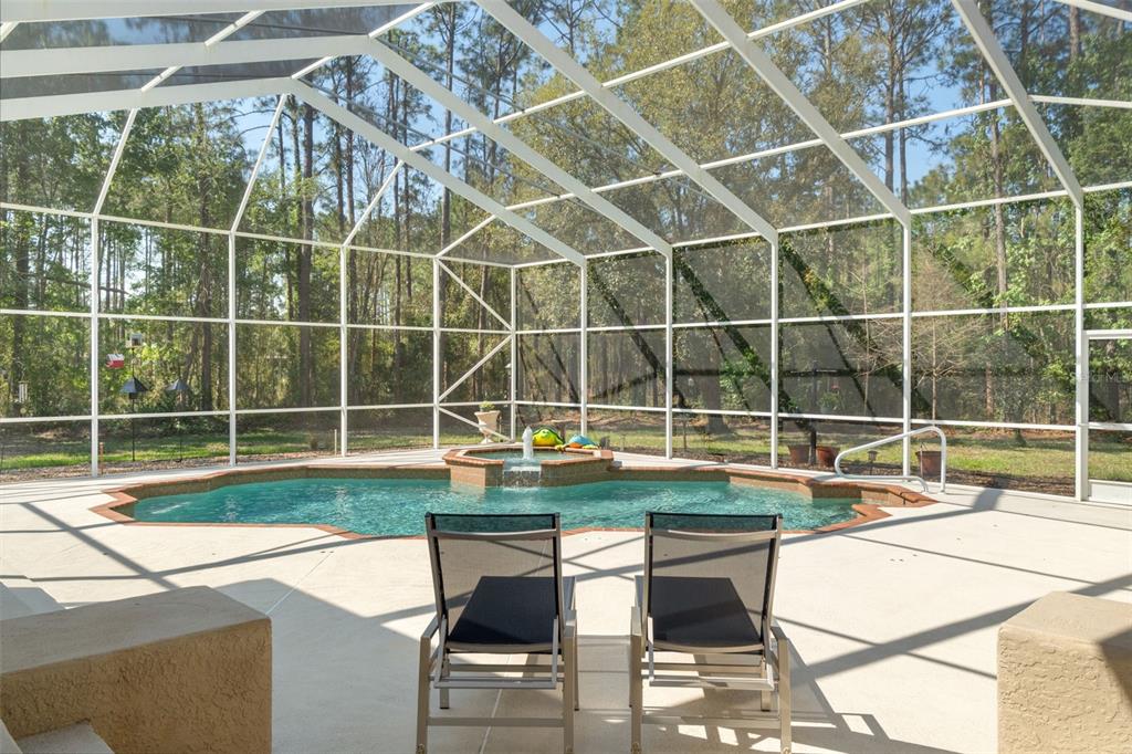 10260 Waters Edge Court Weeki Wachee, FL 34613 - Photo 49 of 58 a view of a backyard with swimming pool and couches chairs
