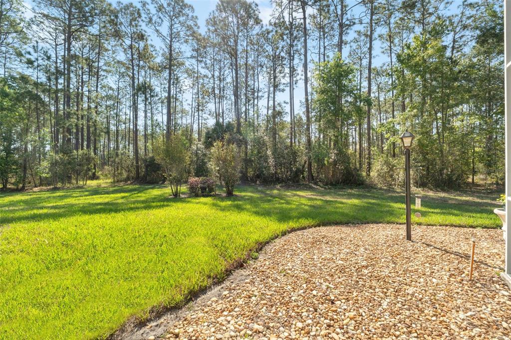 10260 Waters Edge Court Weeki Wachee, FL 34613 - Photo 51 of 58 a view of swimming pool with yard