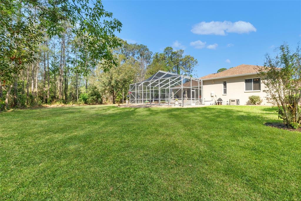 10260 Waters Edge Court Weeki Wachee, FL 34613 - Photo 52 of 58 a view of a house with a big yard