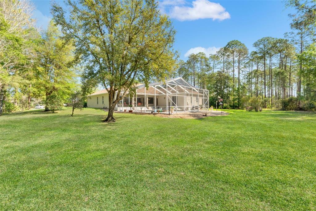 10260 Waters Edge Court Weeki Wachee, FL 34613 - Photo 55 of 58 a view of a park with large trees