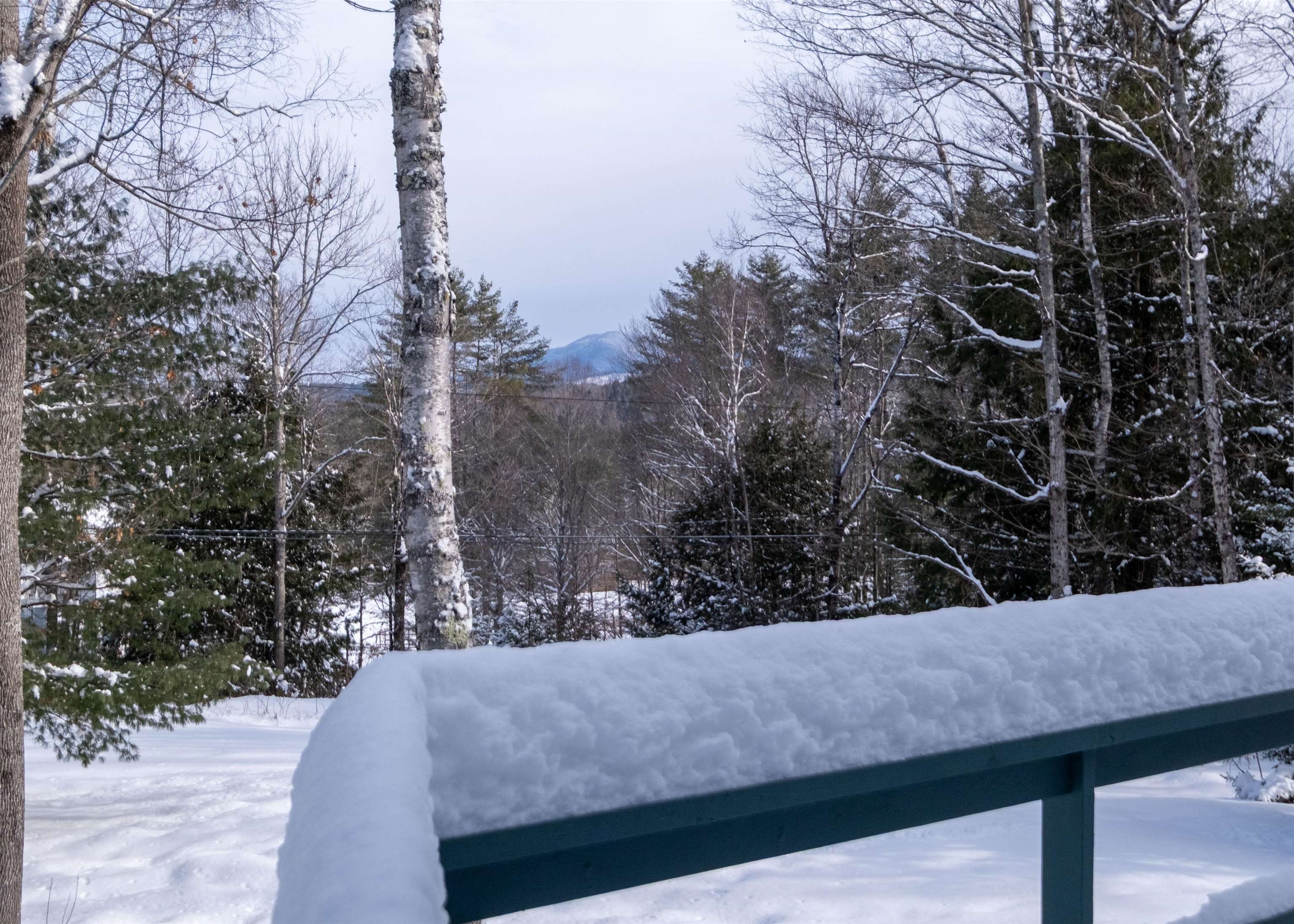 241 Tierney Road Cavendish, VT 05142 - Photo 3 of 60