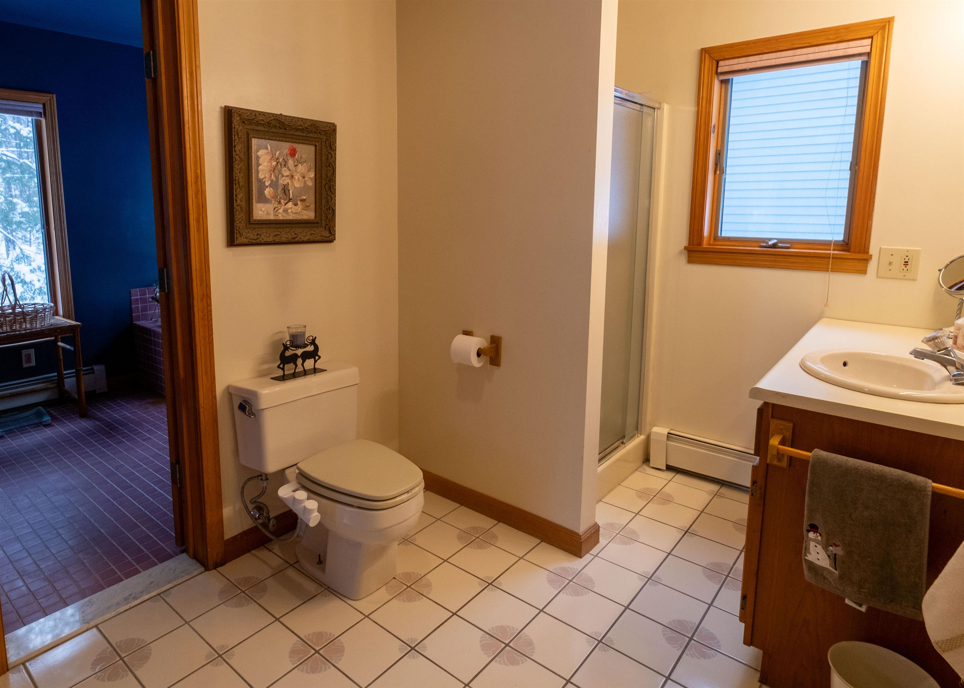 241 Tierney Road Cavendish, VT 05142 - Photo 53 of 60