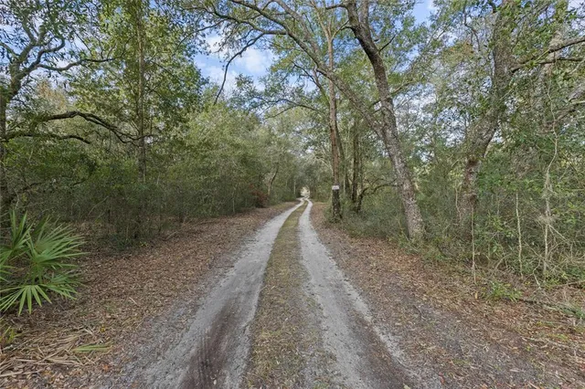 $295,000 | 10431 Northeast 32 Lane, Bronson, FL 32621