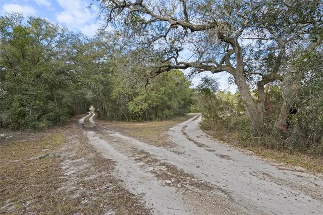 $295,000 | 10431 Northeast 32 Lane, Bronson, FL 32621