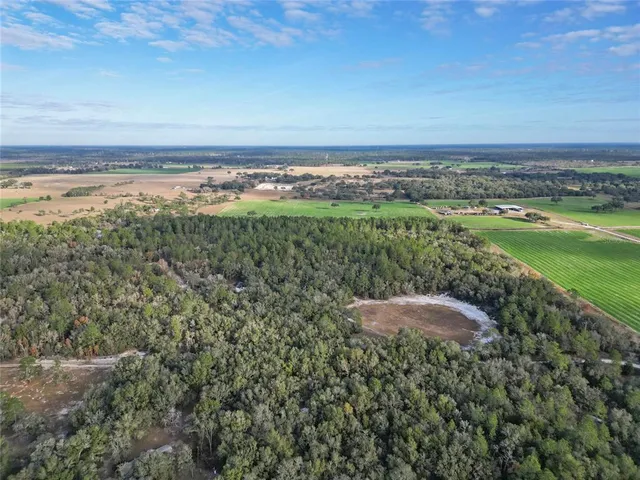 $295,000 | 10431 Northeast 32 Lane, Bronson, FL 32621