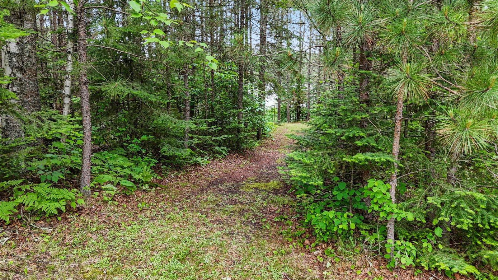 51946 North Wasson Lake Road Bigfork, MN 56628 - Photo 33 of 52