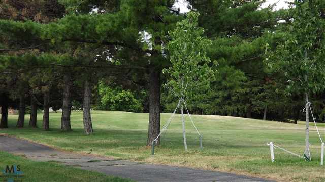 561 Lockmoore Court Rochester, MI 48307 - Photo 6 of 11 View of Golf Course