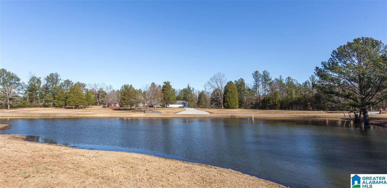 281 Hidden Hills Road Jacksonville, AL 36265 - Photo 47 of 50