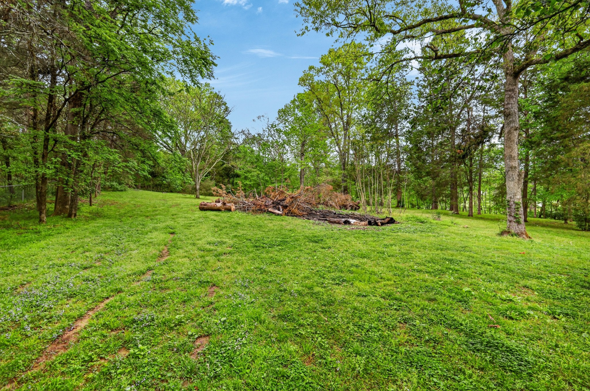 110 Pascal Drive Mount Juliet, TN 37122 - Photo 54 of 67