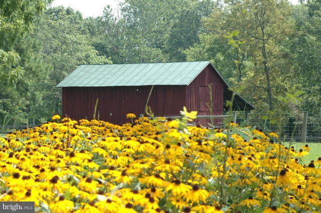 302 Little Long Mountain Road Huntly, VA 22627 - Photo 2 of 26 Old Red Barn