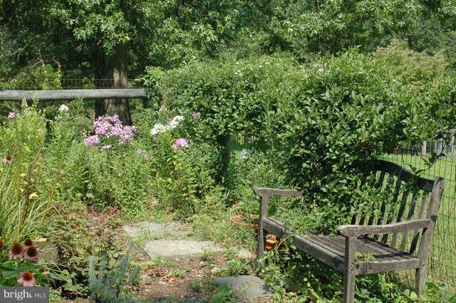 302 Little Long Mountain Road Huntly, VA 22627 - Photo 14 of 26 Ornamental Gardens