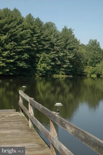 302 Little Long Mountain Road Huntly, VA 22627 - Photo 15 of 26 Dock on the Pond