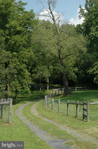 302 Little Long Mountain Road Huntly, VA 22627 - Photo 24 of 26 Driveway